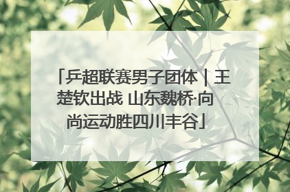 乒超联赛男子团体｜王楚钦出战 山东魏桥·向尚运动胜四川丰谷