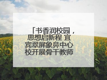 书香润校园，思想启新程 宜宾翠屏象鼻中心校开展骨干教师读书分享活动