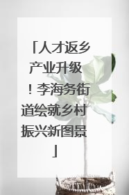 人才返乡 产业升级！李海务街道绘就乡村振兴新图景
