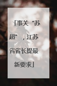 事关“苏超”，江苏省省长提最新要求