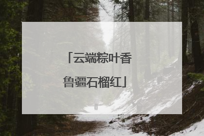 云端粽叶香 鲁疆石榴红