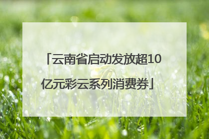 云南省启动发放超10亿元彩云系列消费券