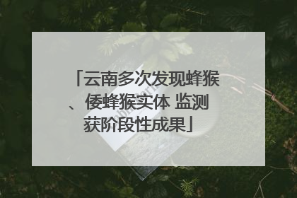 云南多次发现蜂猴、倭蜂猴实体 监测获阶段性成果