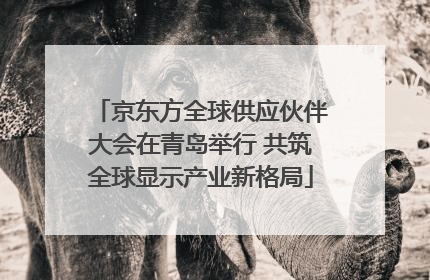京东方全球供应伙伴大会在青岛举行 共筑全球显示产业新格局