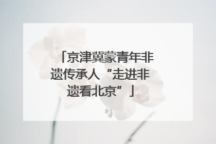 京津冀蒙青年非遗传承人“走进非遗看北京”