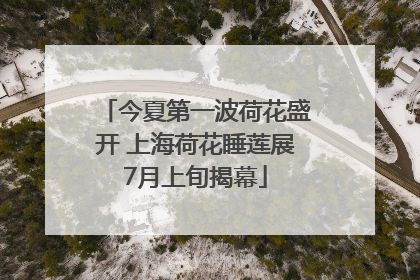 今夏第一波荷花盛开 上海荷花睡莲展7月上旬揭幕