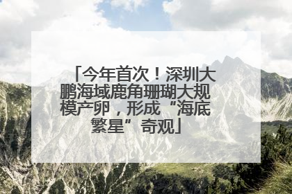 今年首次！深圳大鹏海域鹿角珊瑚大规模产卵，形成“海底繁星”奇观