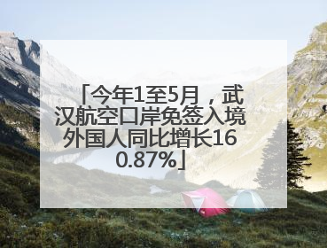 今年1至5月，武汉航空口岸免签入境外国人同比增长160.87%