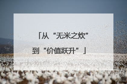 从“无米之炊”到“价值跃升”
