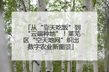 从“靠天吃饭”到“云端种地”！莱芜区“空天地网”织出数字农业新图景