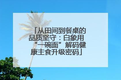 从田间到餐桌的品质坚守：白象用“一碗面”解码健康主食升级密码