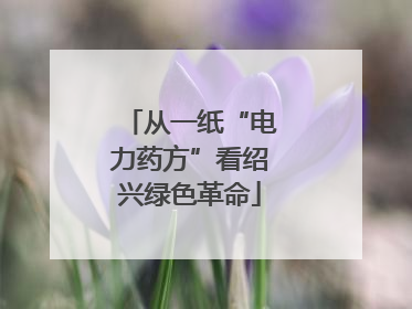 从一纸“电力药方”看绍兴绿色革命