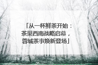 从一杯鲜茶开始：茶巢西南战略启幕，蓉城茶事焕新登场