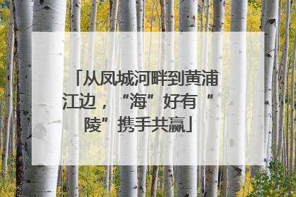从凤城河畔到黄浦江边，“海”好有“陵”携手共赢