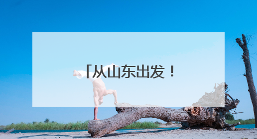 从山东出发！中欧班列开行突破11万列