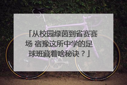 从校园绿茵到省赛赛场 宿豫这所中学的足球班藏着啥秘诀？