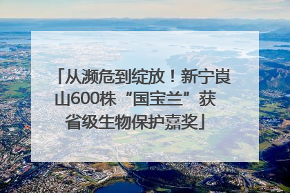 从濒危到绽放！新宁崀山600株“国宝兰”获省级生物保护嘉奖