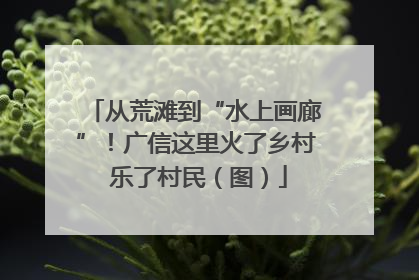 从荒滩到“水上画廊”！广信这里火了乡村 乐了村民（图）