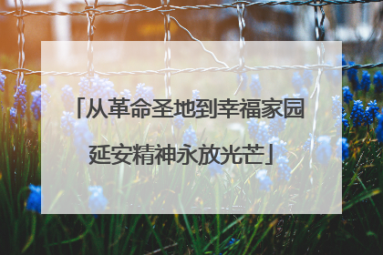 从革命圣地到幸福家园 延安精神永放光芒