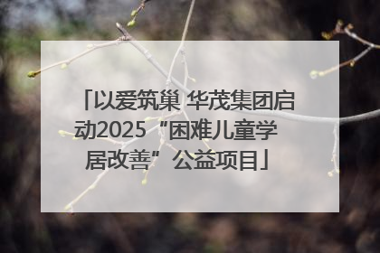 以爱筑巢 华茂集团启动2025“困难儿童学居改善”公益项目