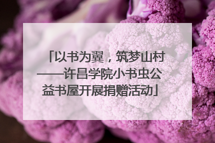以书为翼，筑梦山村——许昌学院小书虫公益书屋开展捐赠活动