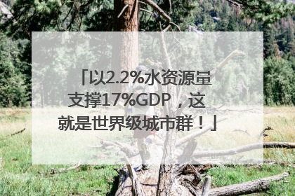 以2.2%水资源量支撑17%GDP，这就是世界级城市群！