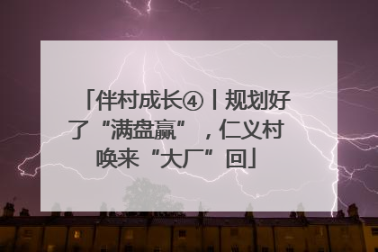伴村成长④丨规划好了“满盘赢”，仁义村唤来“大厂”回