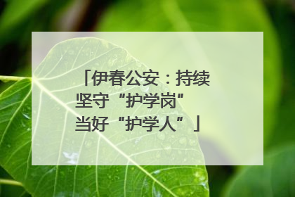 伊春公安：持续坚守“护学岗” 当好“护学人”