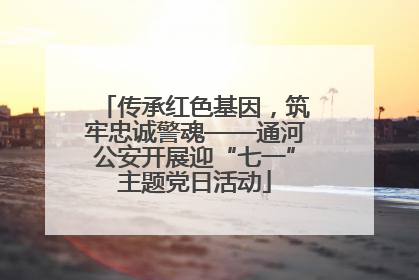传承红色基因，筑牢忠诚警魂——通河公安开展迎“七一”主题党日活动