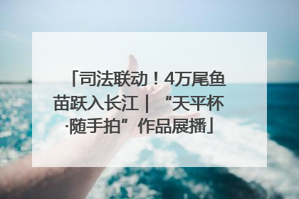 司法联动！4万尾鱼苗跃入长江｜“天平杯·随手拍”作品展播