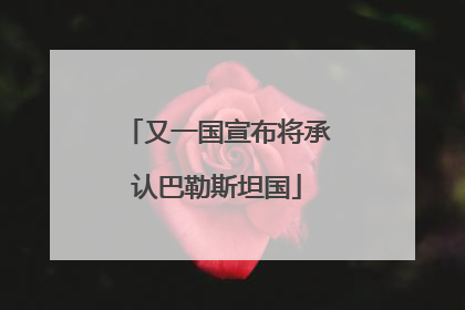 又一国宣布将承认巴勒斯坦国