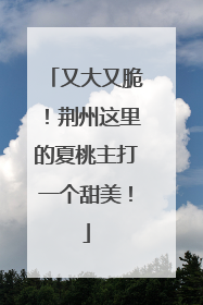 又大又脆！荆州这里的夏桃主打一个甜美！