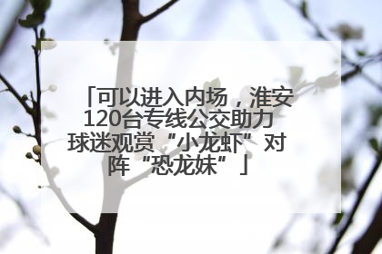 可以进入内场，淮安120台专线公交助力球迷观赏“小龙虾”对阵“恐龙妹”