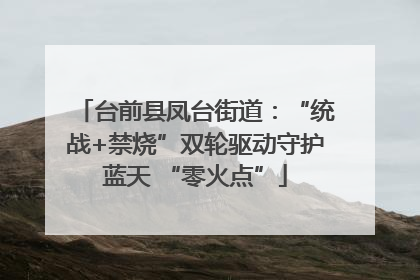 台前县凤台街道：“统战+禁烧”双轮驱动守护蓝天 “零火点”