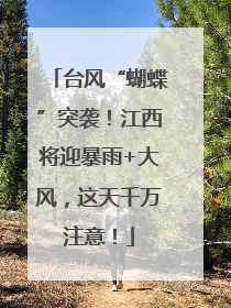 台风“蝴蝶”突袭！江西将迎暴雨+大风，这天千万注意！