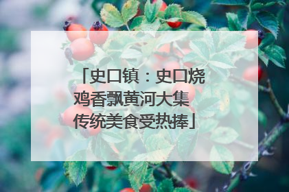 史口镇：史口烧鸡香飘黄河大集 传统美食受热捧