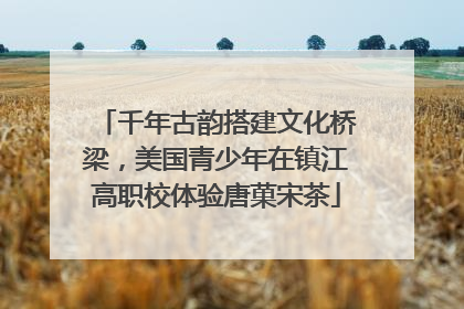 千年古韵搭建文化桥梁，美国青少年在镇江高职校体验唐菓宋茶