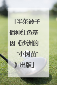半条被子播种红色基因《沙洲的“小树苗”》出版