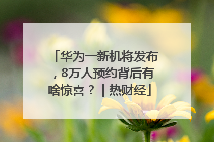华为一新机将发布，8万人预约背后有啥惊喜？｜热财经