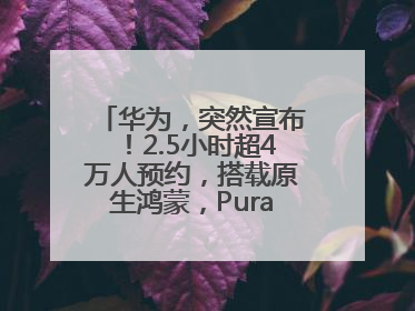 华为，突然宣布！2.5小时超4万人预约，搭载原生鸿蒙，Pura 80外观曝光