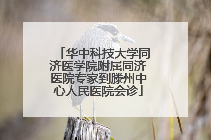 华中科技大学同济医学院附属同济医院专家到滕州中心人民医院会诊