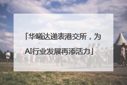 华曦达递表港交所，为AI行业发展再添活力