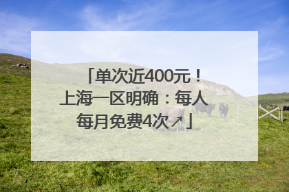 单次近400元！上海一区明确：每人每月免费4次↗