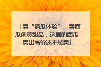 卖“摘瓜体验”，卖西瓜创意甜品，这里的西瓜卖出高价还不愁卖