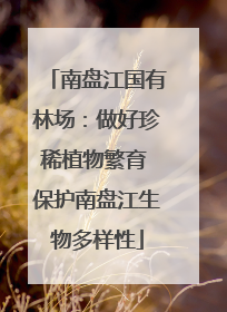 南盘江国有林场：做好珍稀植物繁育 保护南盘江生物多样性