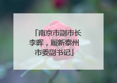南京市副市长李晖，履新泰州市委副书记