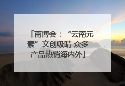 南博会：“云南元素”文创吸睛 众多产品热销海内外