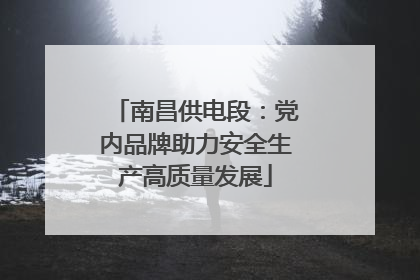 南昌供电段：党内品牌助力安全生产高质量发展