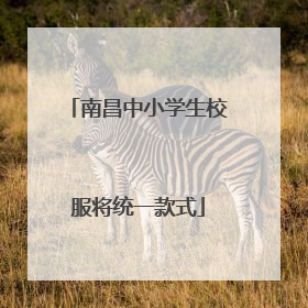 南昌中小学生校服将统一款式