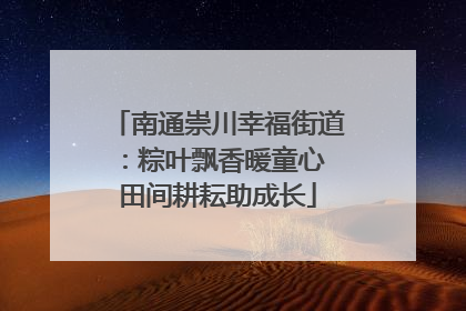 南通崇川幸福街道：粽叶飘香暖童心 田间耕耘助成长